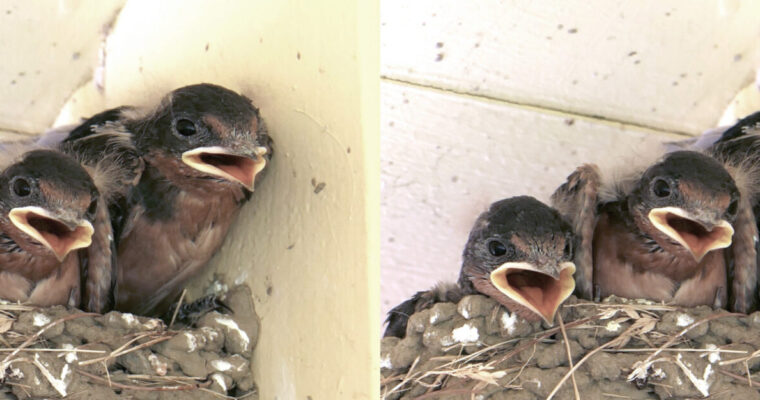 VSC Meeting, December 2025