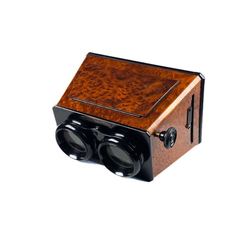 Stereoscope, Ronce de&nbsp;Thuya