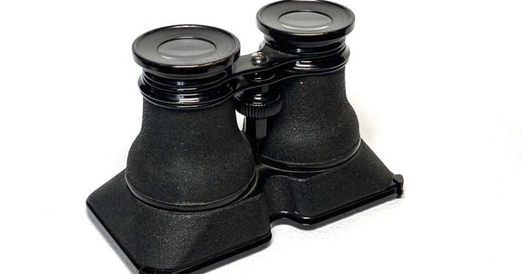 Binocular Stereoscope ‘Stereo-Dioskop’, Short&nbsp;Focus