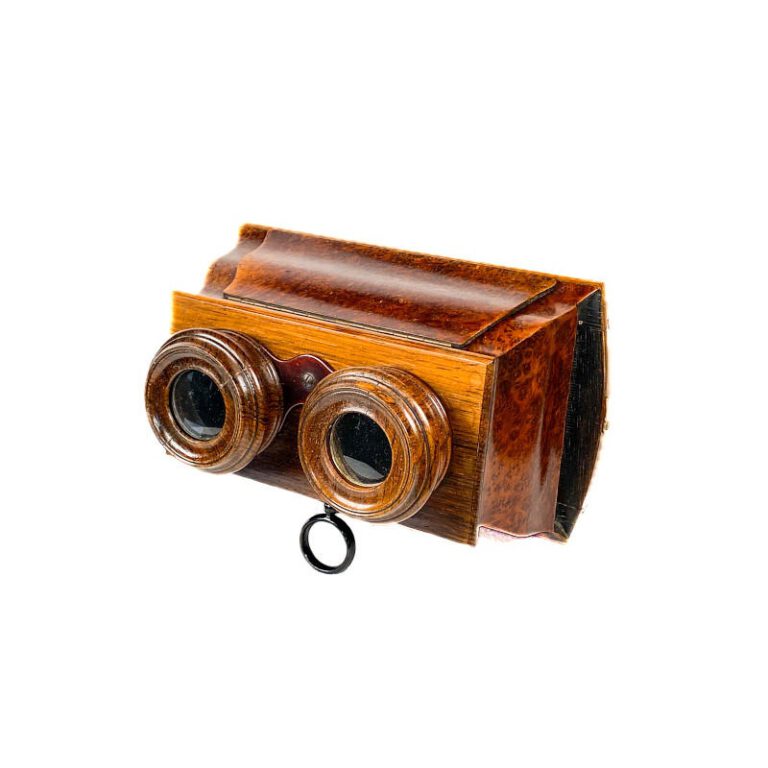 Stereoscope, Ronce de Thuya, Short&nbsp;Focus