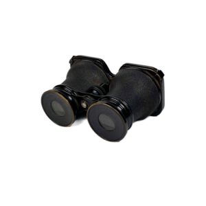 Binocular Stereoscope ‘Stereo-Dioskop’