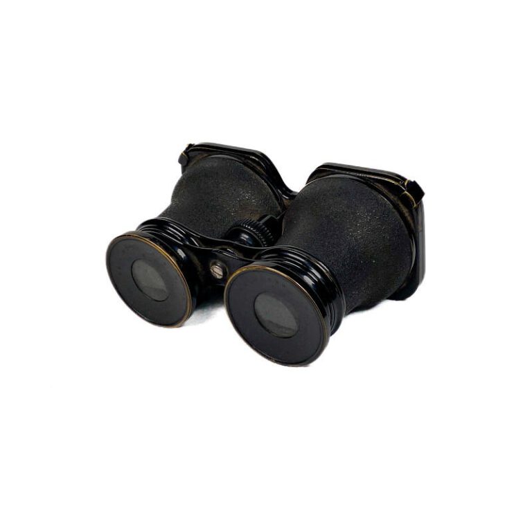 Binocular Stereoscope ‘Stereo-Dioskop’