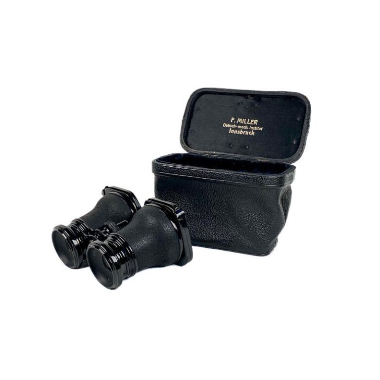 Stereoscope ‘Stereo-Dioskop’ with Reseller Storage Box