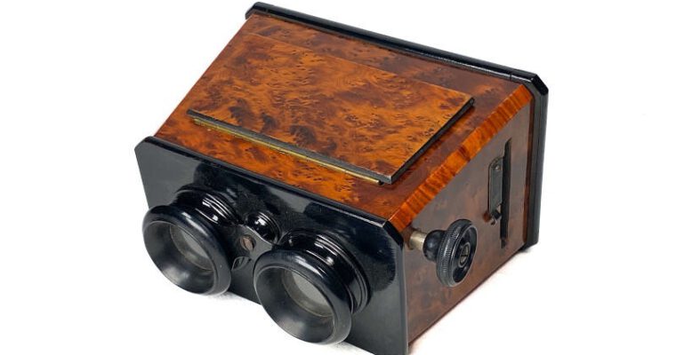 Stereoscope, Ronce de Thuya