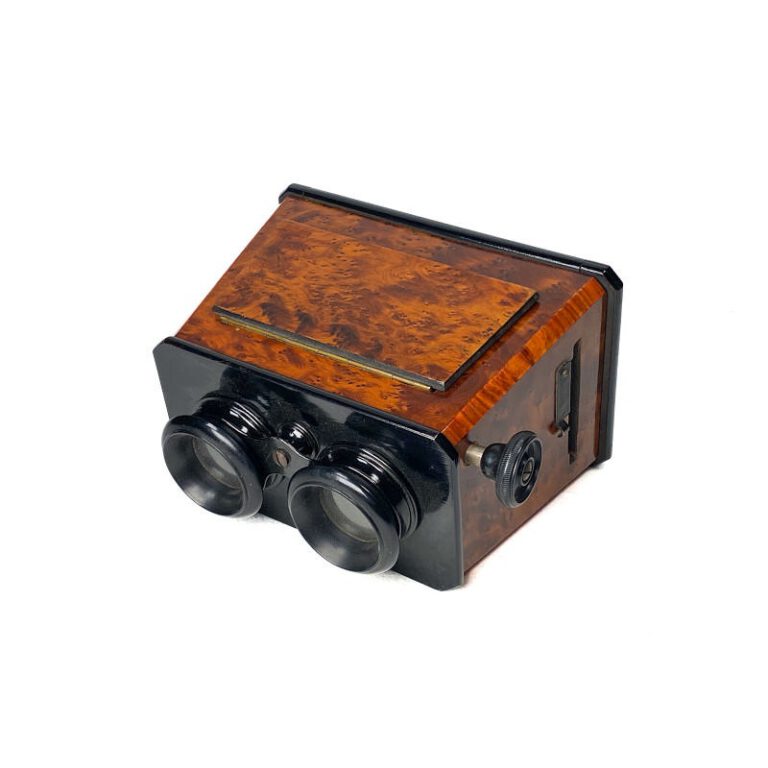 Stereoscope, Ronce de&nbsp;Thuya