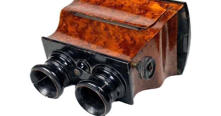 Stereoscope ‘à doucine’, Ronce de Thuya