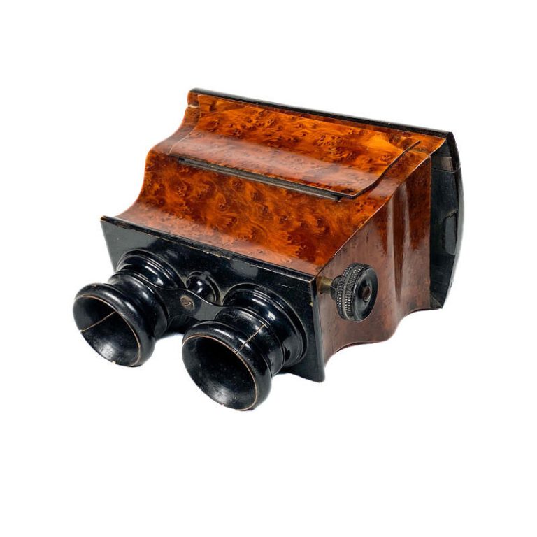 Stereoscope ‘à doucine’, Ronce de&nbsp;Thuya