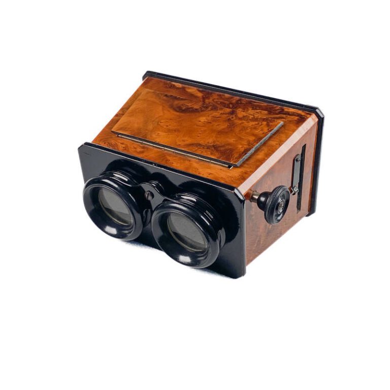 Stereoscope, Ronce de&nbsp;Thuya
