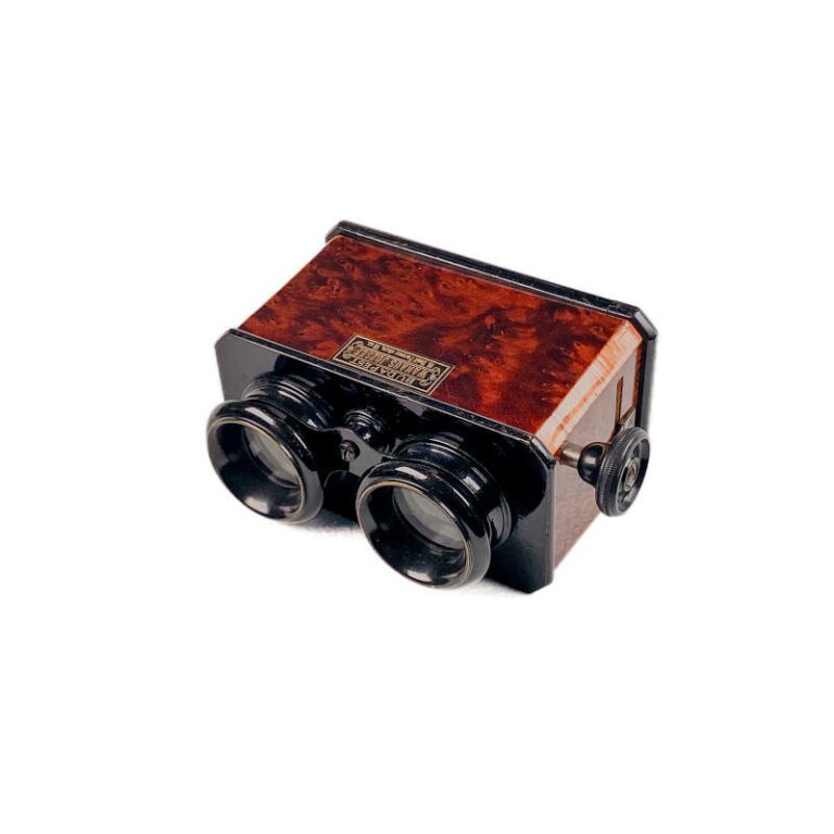 Stereoscope, Ronce de&nbsp;Thuya