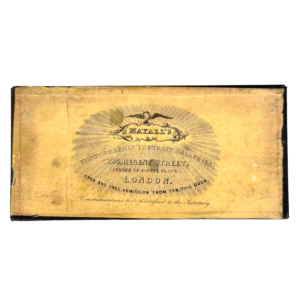 Tinted Stereo Daguerreotype in original leather case (V015)