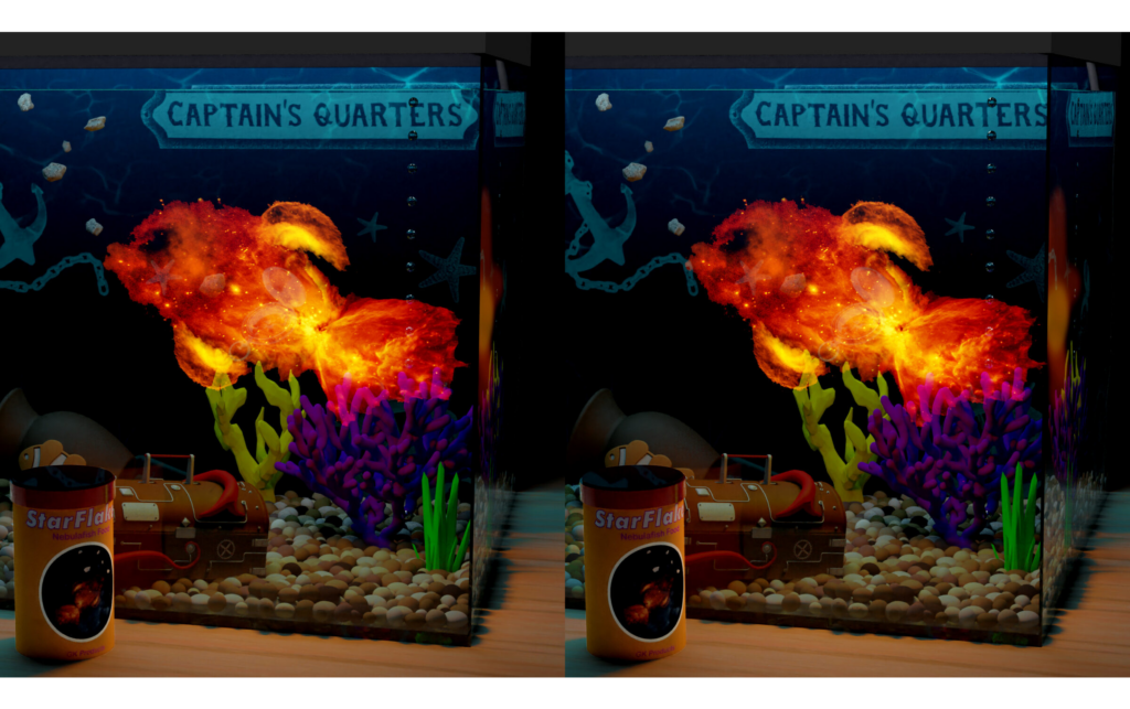 Welcome to the Fishbowl