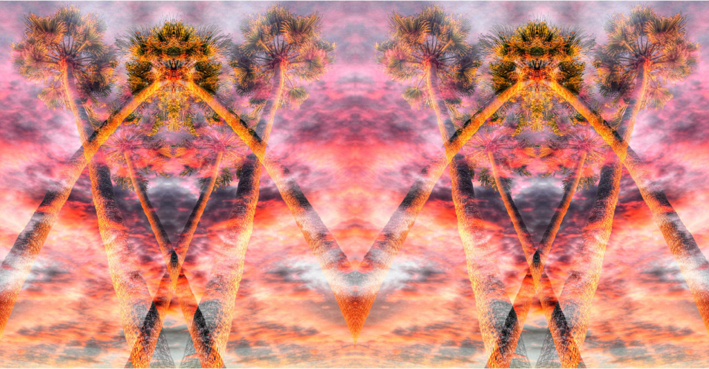 Sunset Palms