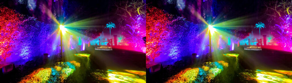 Naturaleza Encendida — 2