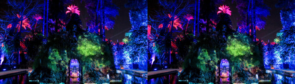 Naturaleza Encendida — 4