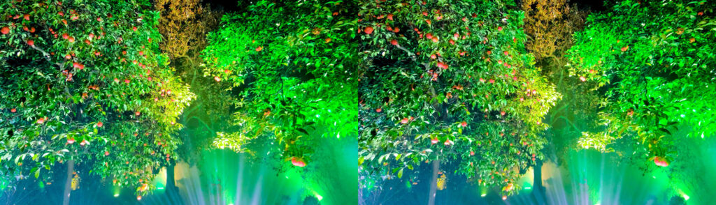 Naturaleza Encendida — 9