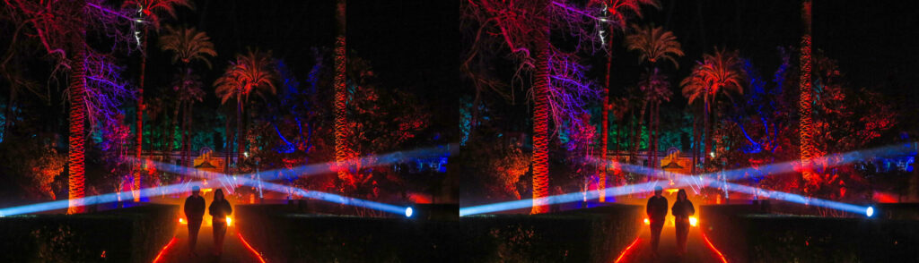 Naturaleza Encendida — 10