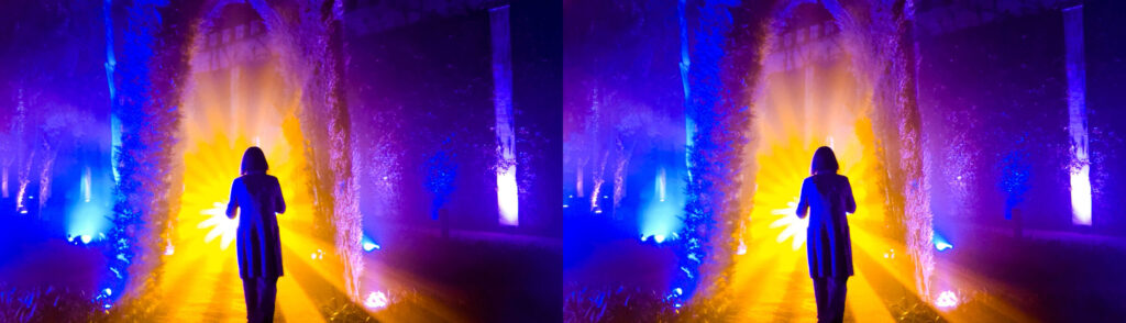 Naturaleza Encendida — 11